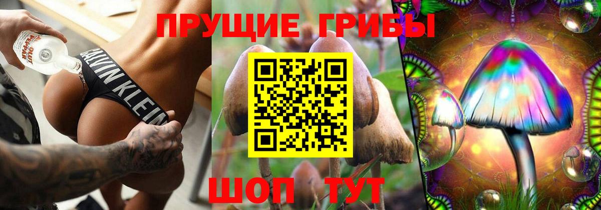 Галлюциногенные грибы прущие грибы  Вход с VPN  магазин продажи наркотиков  Новосибирск 