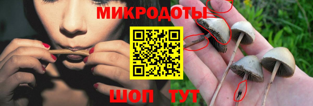 Cocaine Новосибирск